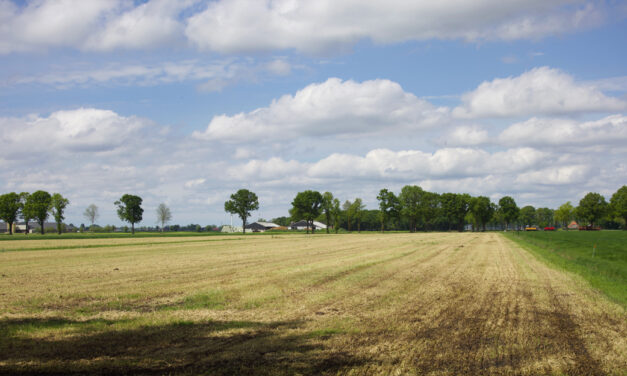 Mooie wolken boven leeg land