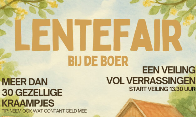Lentefair t.b.v. HHK Hasselt, Rouveen en Zwolle