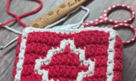Haakmiddag met workshop Mozaïek haken – Maandag 30 juni