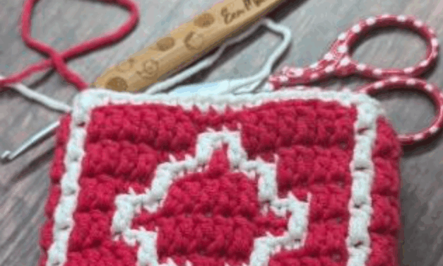 Haakmiddag met workshop Mozaïek haken – Maandag 30 juni