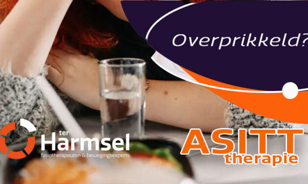 ASITT therapie voor mensen met overprikkelingsklachten bij Ter Harmsel fysiotherapie