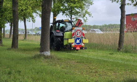 Biologische eikenprocessierupsbestrijding