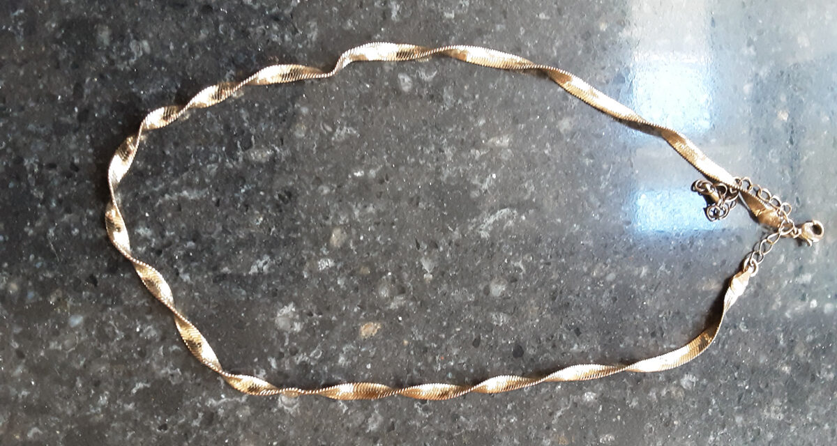 Ketting gevonden op het paardenpad in het staatsbos