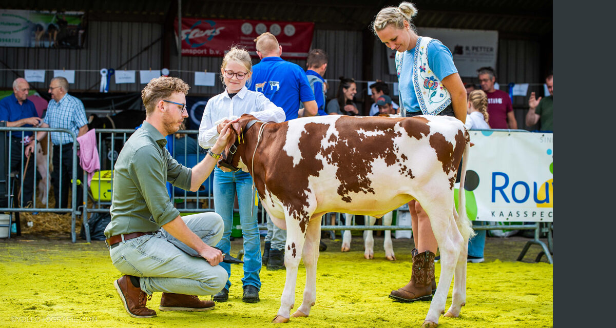 Inschrijving Jongveekeuring 2025 geopend – doe mee op 13 september!
