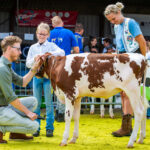 Inschrijving Jongveekeuring 2025 geopend – doe mee op 13 september!