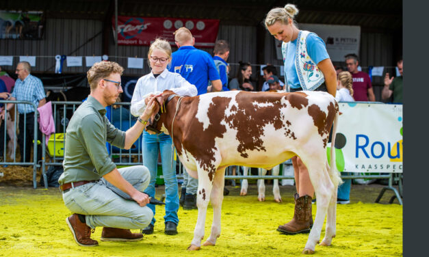 Inschrijving Jongveekeuring 2025 geopend – doe mee op 13 september!