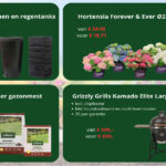 Nieuwe acties bij Welkoop Staphorst