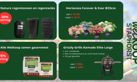 Nieuwe acties bij Welkoop Staphorst