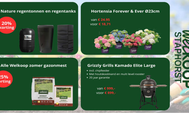 Nieuwe acties bij Welkoop Staphorst