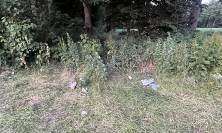 Ingezonden advies van badgast
