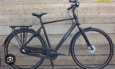 Fiets verloren!