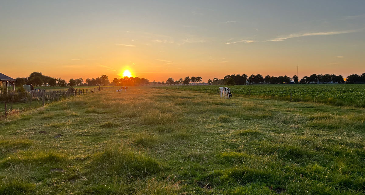 26e Editie Handelskeuring Rouveen Afgelast vanwege extreme hitte