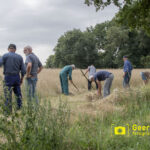 Toen de rogge nog met de hand werd gemaaid…