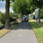 Herhaalde vernieling aan jonge boom Rijksparallelweg
