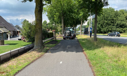 Herhaalde vernieling aan jonge boom Rijksparallelweg