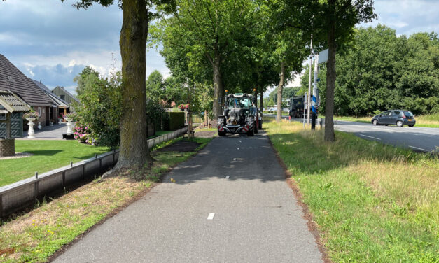 Herhaalde vernieling aan jonge boom Rijksparallelweg