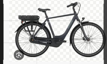 Gazelle herenfiets verdwenen