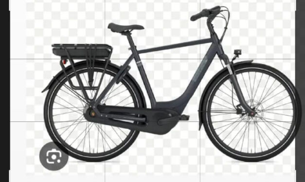 Gazelle herenfiets verdwenen