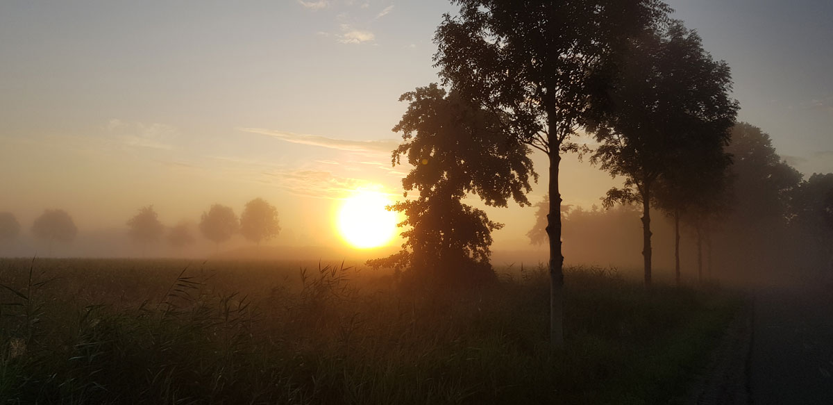 Ondertussen aan de weg naar de stad