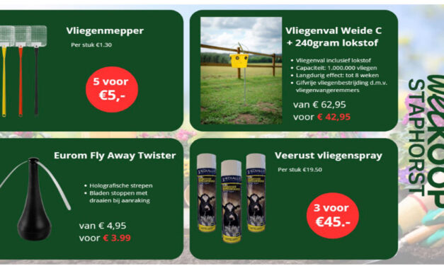 Mooie acties bij Welkoop Staphorst