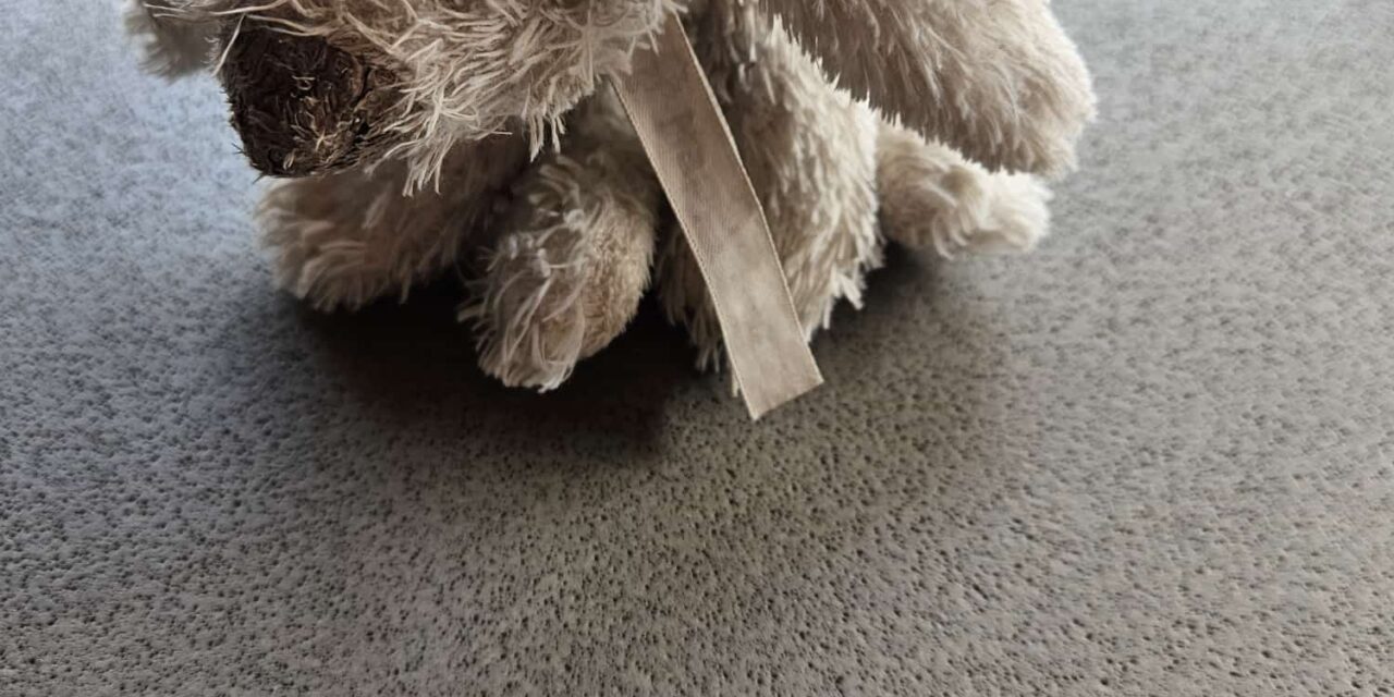 Knuffel gevonden op Jan Arendsland