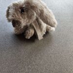 Knuffel gevonden op Jan Arendsland