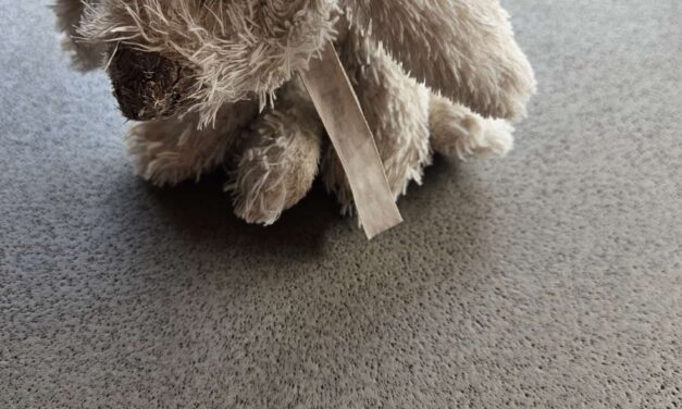 Knuffel gevonden op Jan Arendsland [weer terecht]