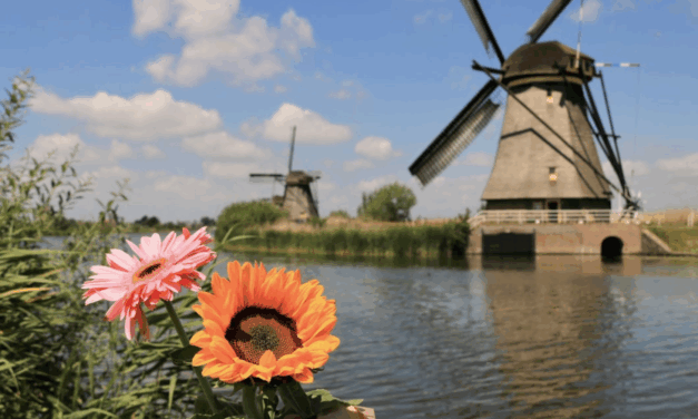 Nieuwe dorpsarchitectuur die verleden en toekomst met elkaar verbindt