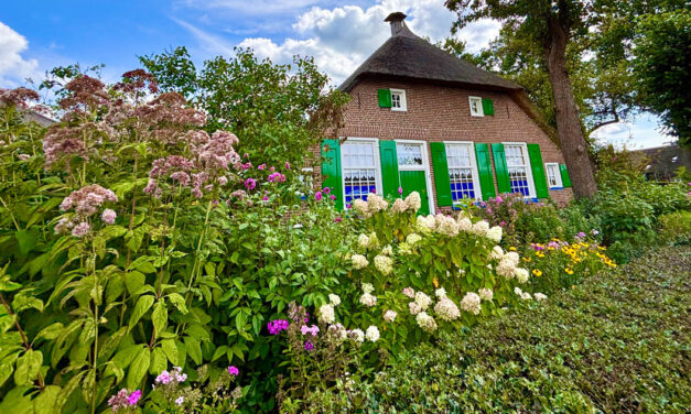 Zomer in Rouveen