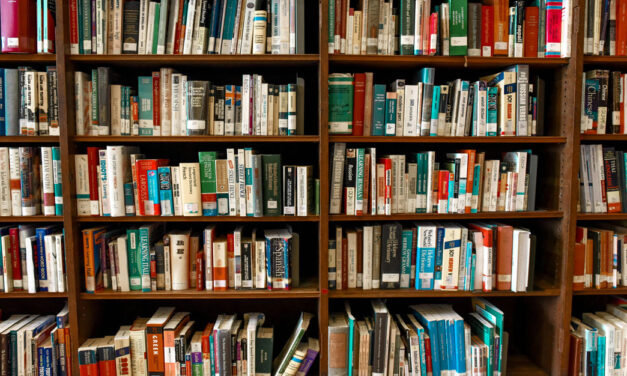 Lezing ‘De laatste dagen van de dorpsgek’ in Bibliotheek Staphorst