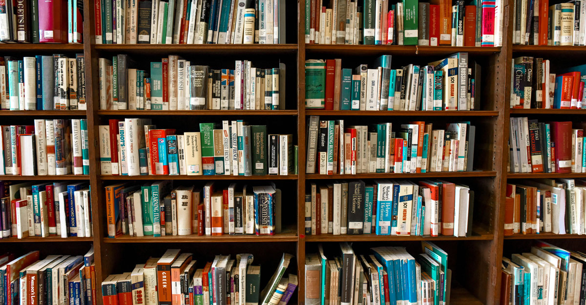 Lezing ‘De laatste dagen van de dorpsgek’ in Bibliotheek Staphorst