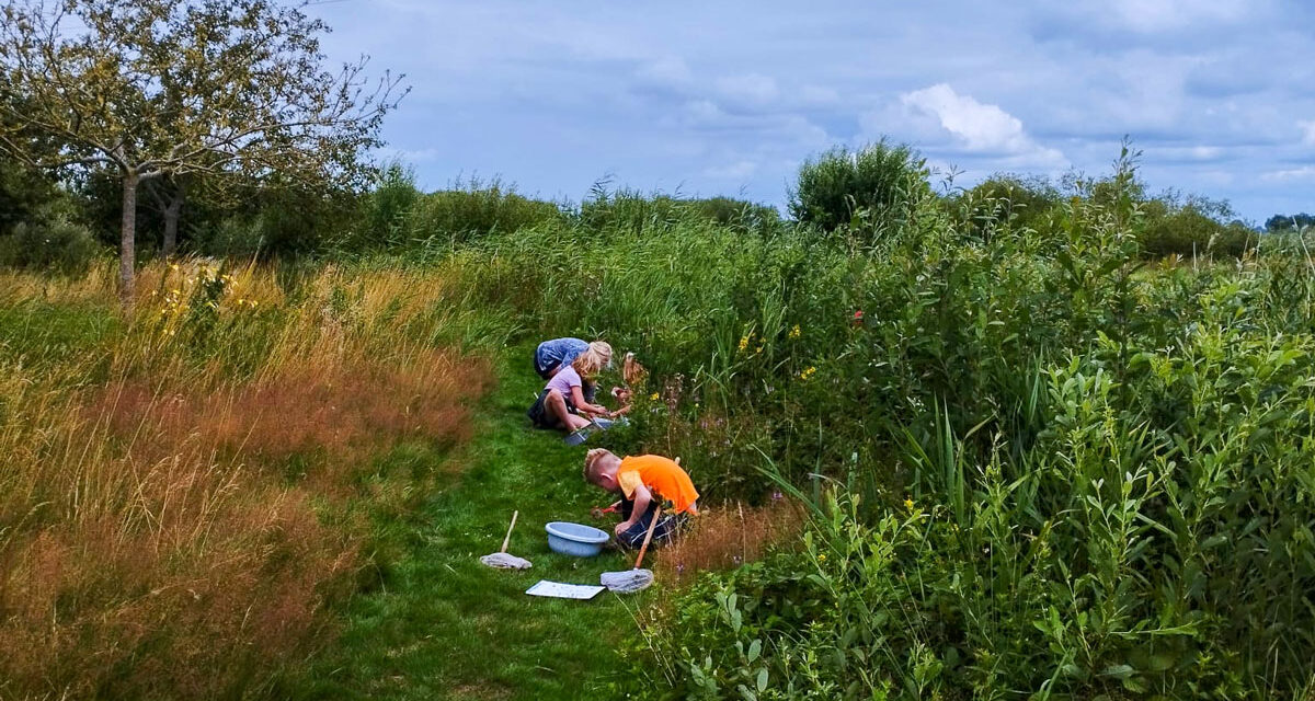 Kom ook op ontdekkingstocht in de wereld van insecten
