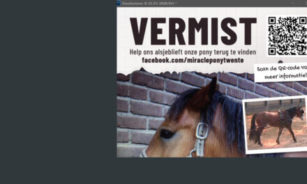 Wie weet waar deze pony is gebleven?
