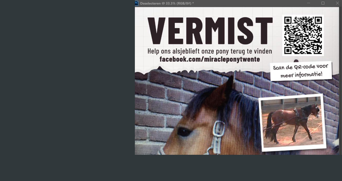 Wie weet waar deze pony is gebleven?