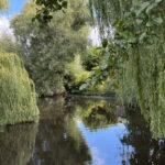 Tropisch Staphorst