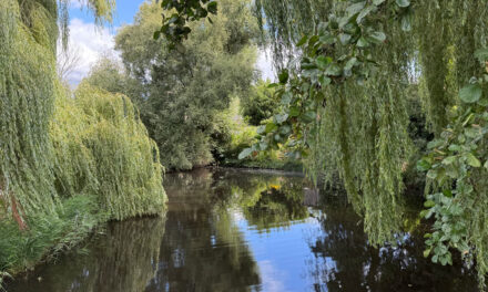 Tropisch Staphorst