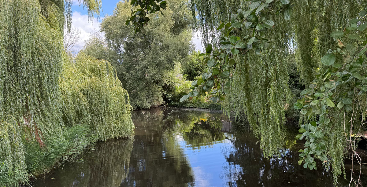 Tropisch Staphorst