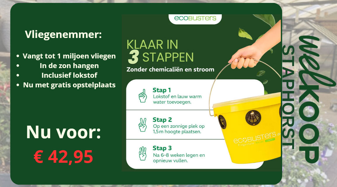 NIEUW bij Welkoop Staphorst