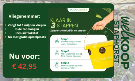 NIEUW bij Welkoop Staphorst