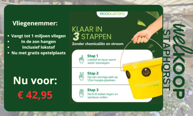 NIEUW bij Welkoop Staphorst