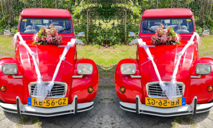 Bijzondere auto bij de bosvijver