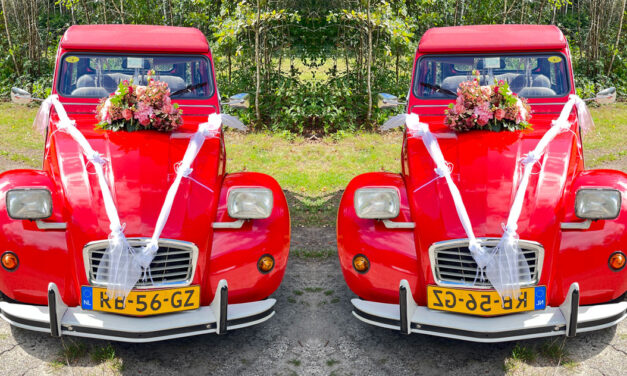 Bijzondere auto bij de bosvijver
