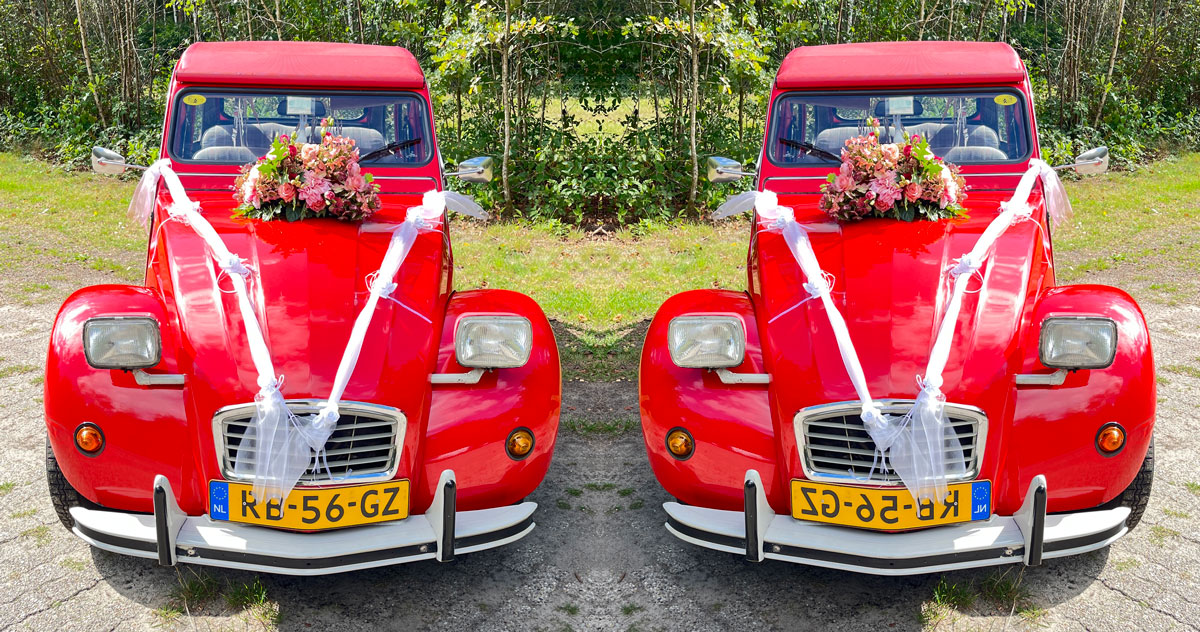 Bijzondere auto bij de bosvijver