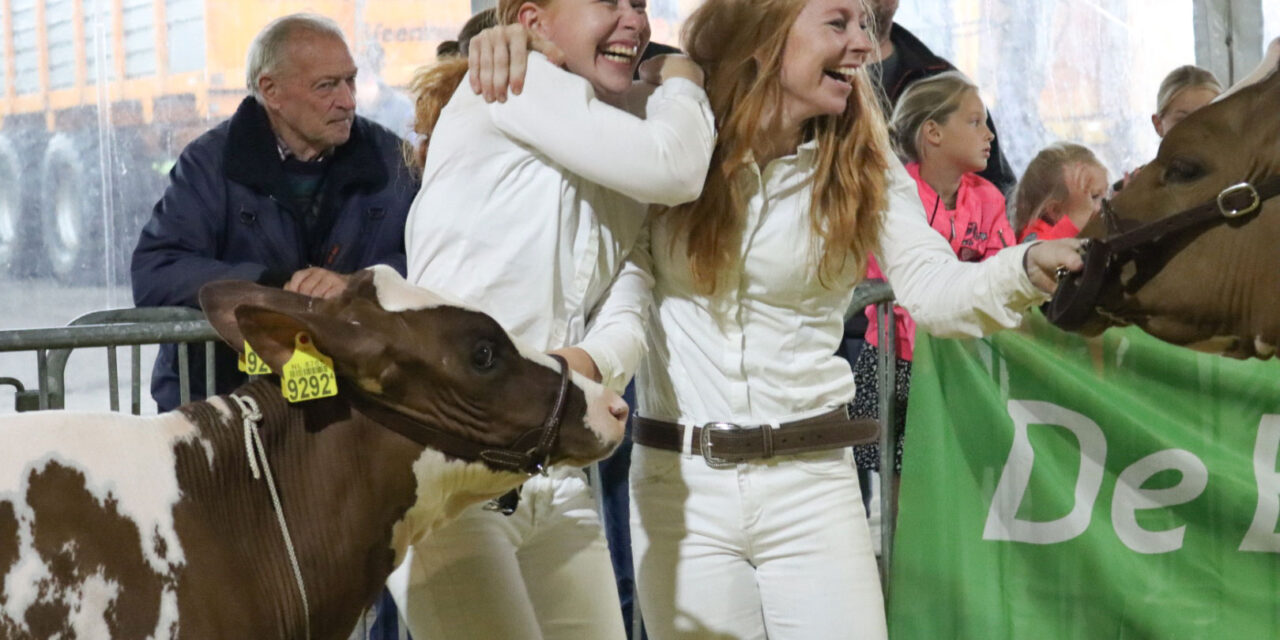 Geslaagde jongveekeuring KOC Rouveen/Staphorst e.o.