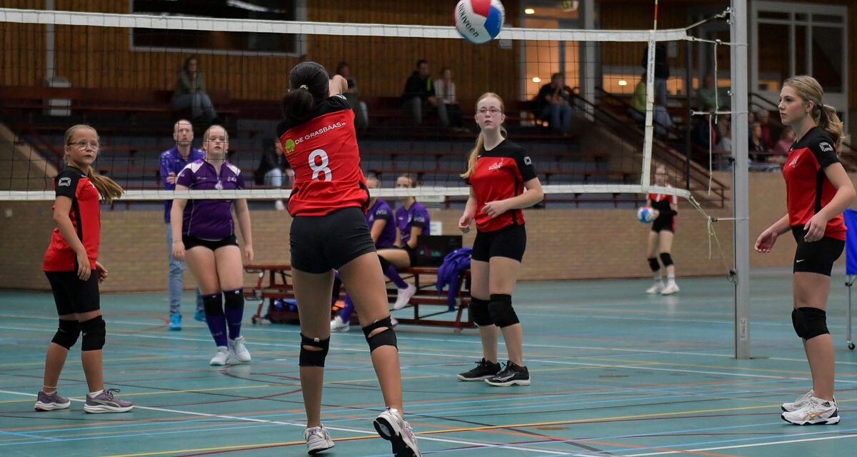 Grasbaas nieuwe sponsor voor Volleybalvereniging Rouveen