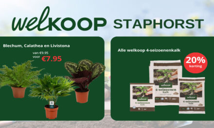 Nu in de aanbieding bij Welkoop Staphorst