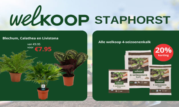 Nu in de aanbieding bij Welkoop Staphorst