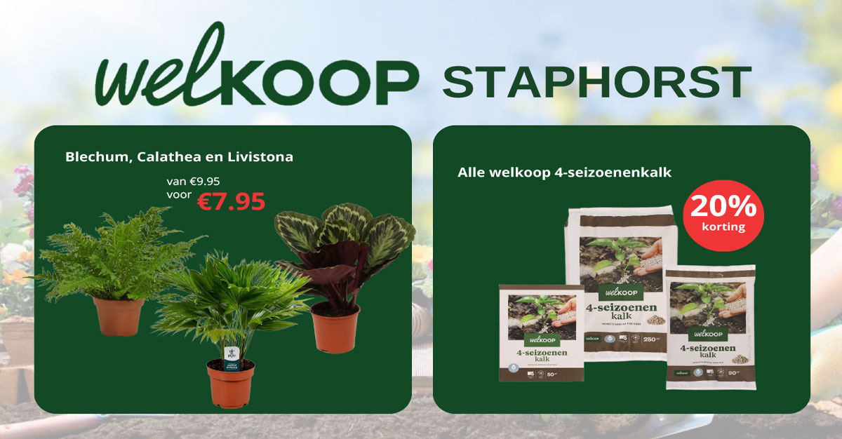 Nu in de aanbieding bij Welkoop Staphorst