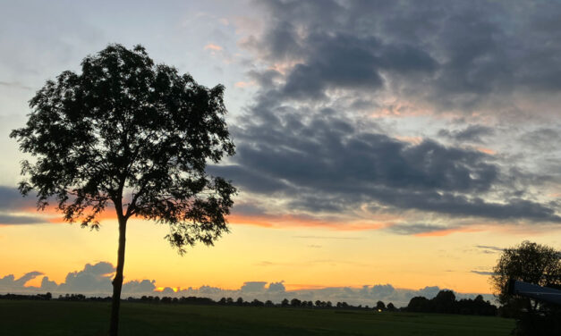 Panorama Zwartsluis