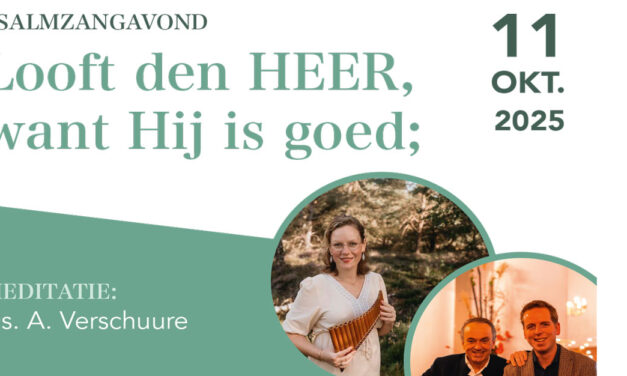 Psalmzangavond op 2 orgels in de Grote Kerk van Hasselt